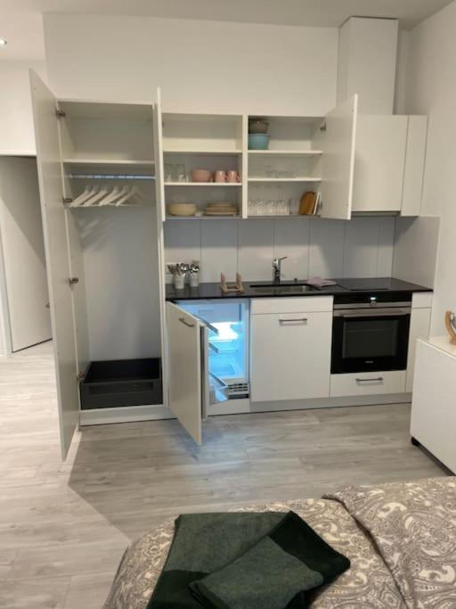 Studio In Neuem Efh Elsau エクステリア 写真